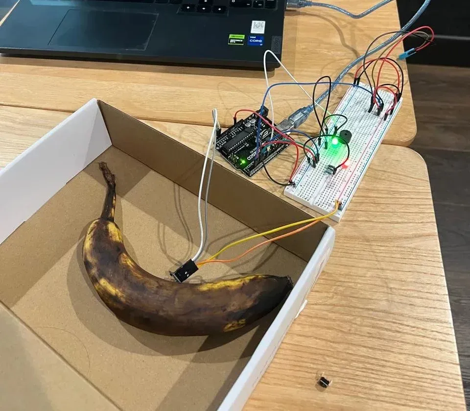 Banana ripeness classifier on Arduino